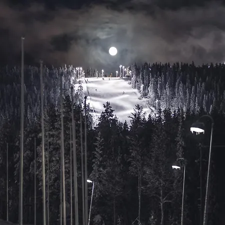 Finelevi Alppitahti, Huoneisto Kanerva Levi