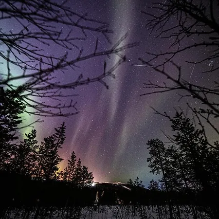Finelevi Alppitahti, Huoneisto Kanerva Levi